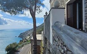 Villa Furoris Apartment